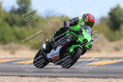 media/Mar-10-2024-SoCal Trackdays (Sun) [[6228d7c590]]/11-Turn 7 (130pm)/